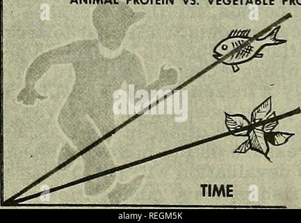 . Examen de la pêche commerciale. La pêche, le commerce du poisson. 40 Canada (suite) : Il s'appuyer sur le marché des États-Unis comme d'autres Canadiens tentent de vendre relativement davantage aux États-unis la flotte en 1967, 20 290 pêcheurs, dont 12 300 pêcheurs à plein temps, étaient à l'emploi. La flotte se composait de 10 690 bateaux à moteur ; 5 300 ; 248 nonmotorizedboats les ligneurs de moins de 25 tonnes, 38 palangriers de plus de 25 tonnes, 64- au chalut, et 8 petits chalutiers côtiers. (Canadi- un ministère fédéral des Pêches.) Les problèmes à venir, Terre-Neuve est sur une "économie" de la morue depuis des générations. La pêche continuera d'être importante pour Banque D'Images