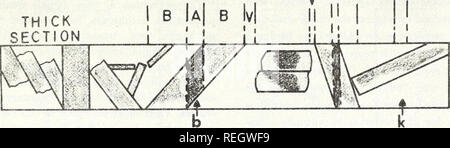 . Recueillis les réimpressions / laboratoires océanographiques et météorologiques de l'Atlantique [et] laboratoires océanographiques du Pacifique. Bedford périodiques.. Richard H. Bennett, William R. Bryant, et George H. Keller 53 EC ÉPAIS) SECTION I B Ia| B iv. Mince C2) SECTION I ! J'iBi iBi UN• » iakjiigffi-jtMd y'»^ ^^.. !''Lk ULTRA FIN 13) SECTION B" a" b" Je J'•^^Y I F^^^^^^i siT^^^ ; sass ;^^--" :^^^^,, i.t-^^^r :^^^^^un k j'^^^&gt ;&gt ;^ h c a f e d 9 J. Veuillez noter que ces images sont extraites de la page numérisée des images qui peuvent avoir été retouchées numériquement pour plus de lisibilité - une coloration Banque D'Images