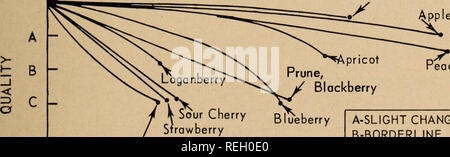 . Les conserves de fruits garnitures pour tarte / par C.C. Strachan [et al.]. Les aliments en conserve Fruits ; l'industrie. Un léger changement de B-C-BORDERLINE PAS SATISFAISANTE 10 12 14 16 MOIS DE STOCKAGE 18 20 22 24 26 Figure 6. Durée de conservation des fruits en conserve des garnitures pour tarte tenue à 85°F. La perte de qualité à 85°F. (Voir la Figure 6) n'est pas aussi rapide qu'à 100°F. Pêche, abricot, pomme, myrtille et cassis-probablement des obturations d'apple sont toujours de qualité assez bonne après 9 à 15 mois de stockage. La durée de conservation de paille- Berry, de framboise et de griotte à 85°F. est faible, allant de trois à huit semaines. Après 16 mois de stockage à Banque D'Images