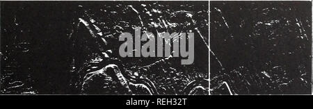 . Recueillis les réimpressions / laboratoires océanographiques et météorologiques de l'Atlantique [et] laboratoires océanographiques du Pacifique. Bedford périodiques..^^m Mh  -  *pliée â Appalaches dans l'ouest de la Pennsylvanie sont représentés dans cette image produite par radar à visée latérale. Le pic- ture couvre une région de 25 kilomètres de long, parallèle à la frontière du Maryland, centrée à environ 78 degrés 45 minutes de longitude ouest. La photo est imprimée avec le nord en bas de sorte que le terrain- scape semble être éclairé par le haut. (L'iliuminant, bien sûr, c'est le faisceau radar transmises d'un avion.) Banque D'Images