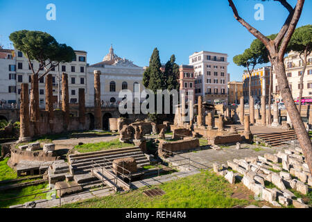 Europe Italie Rome Largo di Torre Argentina Accueil du Chat Sanctuary et ruines romaines Banque D'Images