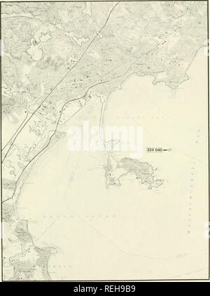 . Les colonies d'oiseaux d'eau côtières, dans le Maine à la Virginie, 1977 : un atlas montrant les emplacements des colonies et la composition des espèces. Les oiseaux de mer -- membres de l'Atlantique ; les oiseaux -- membres de l'Atlantique. H 324 040 Lynn. 241. Veuillez noter que ces images sont extraites de la page numérisée des images qui peuvent avoir été retouchées numériquement pour plus de lisibilité - coloration et l'aspect de ces illustrations ne peut pas parfaitement ressembler à l'œuvre originale.. Erwin, R. Michael ; les écosystèmes côtiers ; Projet de programme des Services biologiques (U. S. ) ; Korschgen, Carl E. Washington, D. C. : Le Service Banque D'Images