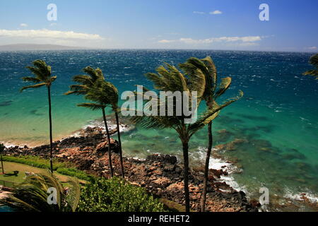 Rivage Maui montrant les effets des alizés Banque D'Images