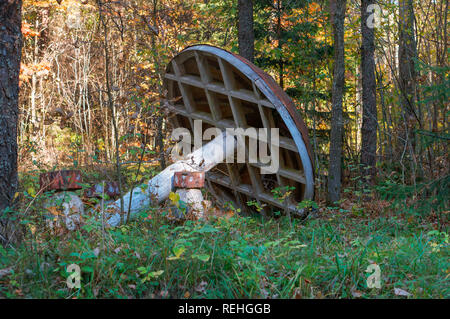 Pour les touristes dans la forêt, la forêt âgée gazebo Banque D'Images