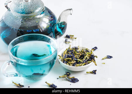 Pois papillon bleu Fleur de thé dans une tasse avec une théière. Boisson à base de plantes detox sain. close up Banque D'Images