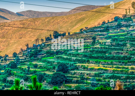 Vue de ferme sur colline avec l'agriculture en terrasses, Portugal Banque D'Images