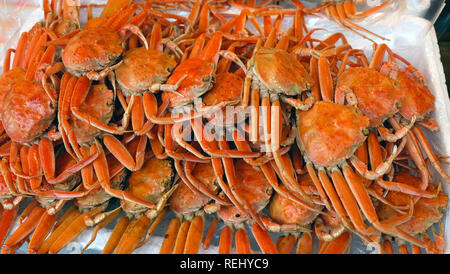 Un plateau de crabes rouges frais empilées en couches dans un marché traditionnel au Japon. Banque D'Images