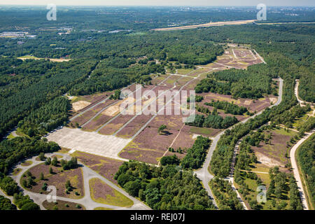 Les Pays-Bas, Soesterberg, ancienne base militaire. La floraison de la bruyère. Vue aérienne. Banque D'Images