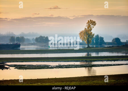 Les Pays-Bas, Lopik, Lek River, plaine, bateau de navigation intérieure. Banque D'Images
