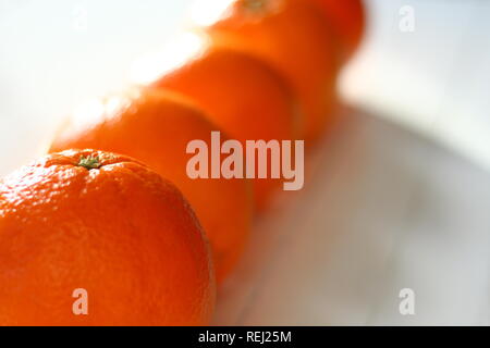 Oranges douces dans une rangée sur une table dans la lumière du soleil Banque D'Images