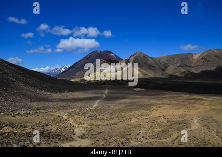 Parc National De Tongariro Nouvelle-Zélande, Grande Randonnée Banque D'Images