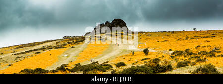 Voir od Heytor rocheux o le Parc National de Dartmoor dans le Devon, UK Banque D'Images