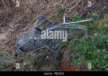 Deux chariots Tesco illustré jeté et abandonné par une rivière de Littlehampton, West Sussex, UK. Banque D'Images