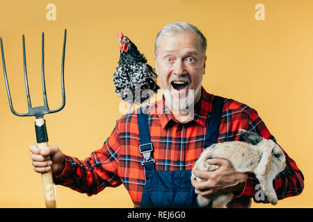 Heureux homme aux cheveux gris uniforme de la mode en tenant un lapin Banque D'Images
