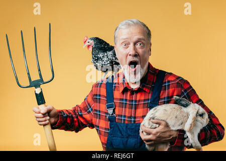 Ancienne withmouth émotionnel éleveur grand ouvert Banque D'Images