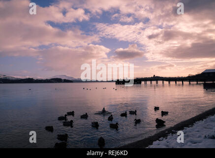 Jetée de Luss sur le Loch Lomond, Argyll, Scotland au lever du soleil avec ciel rouge et les canards dans l'avant-plan Banque D'Images