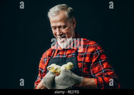 Vieux homme séropositif avec jnewly poulets éclos Banque D'Images