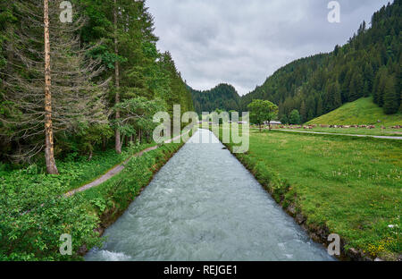 Paysage de la rivière Rychenbach, pré et nature verte des Alpes suisses par un jour pluvieux. Prise dans la vallée alpine Reichenbachtal, Oberhasli, canton de Berne Banque D'Images