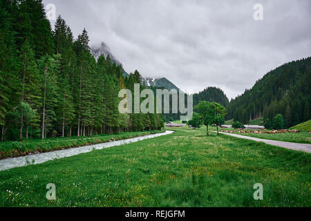 Paysage de la rivière Rychenbach, pré et nature verte des Alpes suisses par un jour pluvieux. Prise dans la vallée alpine Reichenbachtal, Oberhasli, canton de Berne Banque D'Images