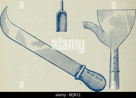 . Cacao : tout à ce sujet. Le cacao ; cbk. cacao : tout cela.. facilement , Il est recommandé, toutefois, de ne pas utiliser le même endroit trop souvent, comme les gousses vides s'accumulent et s'avérer un obstacle à la culture.. Outils utilisés pour couper le fruit de l'arbre, et d'ouvrir la gousse. Une partie, composé d'un homme avec un coutelas et deux ou trois femmes avec des cuillères en bois ou scalpels, dit à un certain nombre de tas, et par chacune d'elles se répandent sur le sol des feuilles de plantain pour recevoir les graines. Puis, tandis que l'homme brise le pods avec son coutelas, les femmes déposer les haricots avec th Banque D'Images