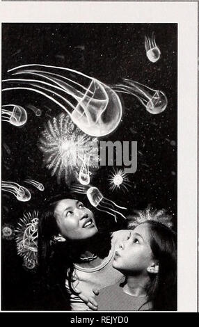 . Coast Watch. Ressources marines ; océanographie ; la gestion des zones côtières ; l'écologie côtière. Profondeur extrême : Mission à l'Abîme n les profondeurs de la Terre, des océans, il y a beaucoup de formes de vie inhabituelle - de giant à pointe rouge ténia aux palourdes plus grand que assiettes. Vous pouvez plonger dans ce monde mysteri- tion à la "profonde extrême : Mission à l'Abîme" exposition à la N.C. Musée des Sciences Naturelles. L'exposition itinérante, présentée jusqu'au 6 mai, comprend une réplique grandeur nature de la haute mer submersible, Akin. Les visiteurs peuvent remonter à l'intérieur de l'submers- ible et simuler une plongée de trois milles au-dessous de la Banque D'Images