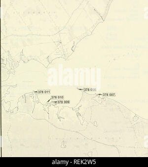 . Les colonies d'oiseaux d'eau côtières, dans le Maine à la Virginie, 1977 : un atlas montrant les emplacements des colonies et la composition des espèces. Les oiseaux de mer -- membres de l'Atlantique ; les oiseaux -- membres de l'Atlantique. 411. Veuillez noter que ces images sont extraites de la page numérisée des images qui peuvent avoir été retouchées numériquement pour plus de lisibilité - coloration et l'aspect de ces illustrations ne peut pas parfaitement ressembler à l'œuvre originale.. Erwin, R. Michael ; les écosystèmes côtiers ; Projet de programme des Services biologiques (U. S. ) ; Korschgen, Carl E. Washington, D. C. : Le Service Banque D'Images