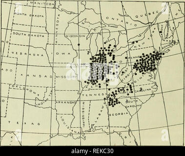 . Circulaire. Les insectes. 2 Le printemps de 1903. Dans les vergers de l'élagage fait moins ce printemps le moins sera l'endommager les arbres sont susceptibles de souffrir, comme cet opéra- tion tend à concentrer les crevaisons par laissant peu de nouvelle croissance. De même, où qu'à quelques kilomètres, et le greffage en herbe, qui causent des lieux favorables pour le dépôt des œufs, doit être évitée. Une exception. Dans le Missouri Valley il y a une région limitée où XI de la couvée (Marlatt notation) s'affiche pendant le printemps de 1903. Cette localité, qui est le seul dans les États-Unis, où les essaims des cigales s'affiche e Banque D'Images