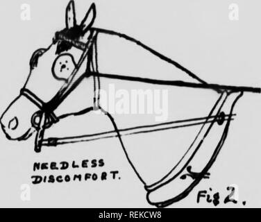 . Cheval moderne [microforme] gestion. Les chevaux, chevaux, chevaux, chevaux. . Veuillez noter que ces images sont extraites de la page numérisée des images qui peuvent avoir été retouchées numériquement pour plus de lisibilité - coloration et l'aspect de ces illustrations ne peut pas parfaitement ressembler à l'œuvre originale.. Reginald Timmis, S. (Reginald Symonds), 1884-1968. Londres ; Toronto : Cassell Banque D'Images