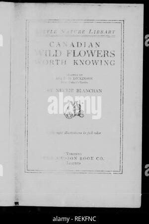 . Canadian wild flowers a savoir [microform]. Fleurs sauvages, fleurs sauvages. . Veuillez noter que ces images sont extraites de la page numérisée des images qui peuvent avoir été retouchées numériquement pour plus de lisibilité - coloration et l'aspect de ces illustrations ne peut pas parfaitement ressembler à l'œuvre originale.. Neltje Blanchan,, 1865-1918 ; Dickinson, Asa Don, 1876-1960. Toronto : Musson Banque D'Images