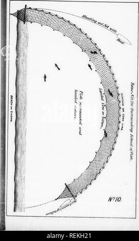 . Rapport sur les établissements d'élevage de poissons dans le Dominion du Canada, 1890 [microforme]. La culture du poisson ; poissons ; pisciculture ; Poissons. . Veuillez noter que ces images sont extraites de la page numérisée des images qui peuvent avoir été retouchées numériquement pour plus de lisibilité - coloration et l'aspect de ces illustrations ne peut pas parfaitement ressembler à l'œuvre originale.. Ottawa : B. Chamberlin Banque D'Images