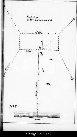 . Rapport sur les établissements d'élevage de poissons dans le Dominion du Canada, 1890 [microforme]. La culture du poisson ; poissons ; pisciculture ; Poissons. . Veuillez noter que ces images sont extraites de la page numérisée des images qui peuvent avoir été retouchées numériquement pour plus de lisibilité - coloration et l'aspect de ces illustrations ne peut pas parfaitement ressembler à l'œuvre originale.. Ottawa : B. Chamberlin Banque D'Images