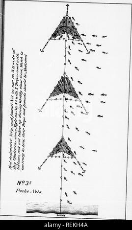 . Rapport sur les établissements d'élevage de poissons dans le Dominion du Canada, 1890 [microforme]. La culture du poisson ; poissons ; pisciculture ; Poissons. . Veuillez noter que ces images sont extraites de la page numérisée des images qui peuvent avoir été retouchées numériquement pour plus de lisibilité - coloration et l'aspect de ces illustrations ne peut pas parfaitement ressembler à l'œuvre originale.. Ottawa : B. Chamberlin Banque D'Images