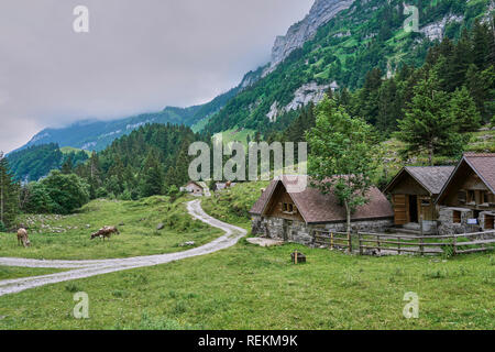 Paysages tournés près du lac de Seealpsee, dans les montagnes d'Alpstein à Appenzell est un canton historique du nord-est de la Suisse. Banque D'Images