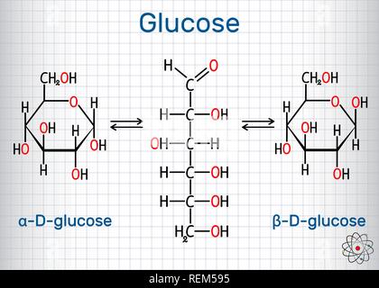 Dextrose (glucose, molécule de D-glucose). Сyclic et formes acycliques. Feuille de papier dans une cage. Formule chimique structurale et molécule modèle. Mauvais vecteur Illustration de Vecteur