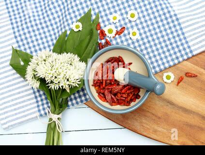 L'ail sauvage et de piments séchés rouge dans la cuisine mise à plat Banque D'Images