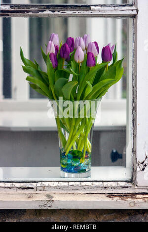 Vase de tulipes au chalet fenêtre, Derbyshire Banque D'Images