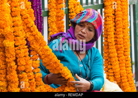 Femme vendant des fleurs de souci (sayapatri) pendant, Katmandou, Népal Tihar Banque D'Images