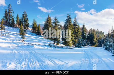 Campagne d'hiver avec pessière. route couverte de neige dans les montagnes. belle nature paysage sur un jour lumineux Banque D'Images