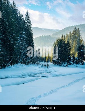 Paysage d'hiver avec rivière dans les montagnes. belle nature paysage avec une rivière couverte de neige entre forêt de sapins Banque D'Images