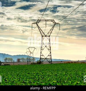 Pylône électrique dans un champ, Auvergne, France, Europe Banque D'Images