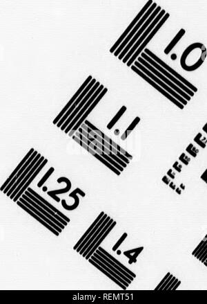 . Les mollusques de l'Acadie économique [microform]. Les mollusques ; Zoologie, économique ; Mollusques ; Zoologie Ã©conomique. TEST D'ÉVALUATION D'IMAGE CIBLE (MT-3). /. 6&gt ; 1,0 Ui iÂ" 1^^ 1 â " 136 mm u u 1,1 Mbu iyÂ£ III.8 125 j u 1.6 150mm â 6' . Veuillez noter que ces images sont extraites de la page numérisée des images qui peuvent avoir été retouchées numériquement pour plus de lisibilité - coloration et l'aspect de ces illustrations ne peut pas parfaitement ressembler à l'œuvre originale.. William F. Ganong, William (Francis), 1864-1941. [Saint John, N.-B. ?  : S. n. ] Banque D'Images