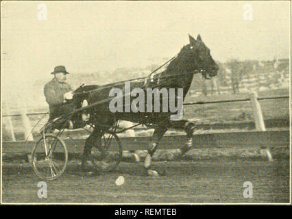 . L'élément moteur de clubs Greater Boston. Les courses de chevaux ; les chevaux. Le moteur de 279 Clubs du Grand Boston Billy Andrews, et tandis que la propriété de l'air. Gal- plu couru contre et défait plus que toute autre raison des abots pacers trotter jamais possédé de Boston. Dans ses courses, il a souvent été dépassé dans 29 quartiers à 2 secondes. Après avoir passé entre les mains de M. Gallup aux parties dans le Maine qu'il a été lancé, en février 1914, plus la glace à W'inthrop, Maine, dans le free-for-all, win- huit ning, course de l'heure, le plus rapide du monde pendant huit manches à un trimestre d'un mile. Le quatrième comte de chaleur Kinir tonne wit Banque D'Images