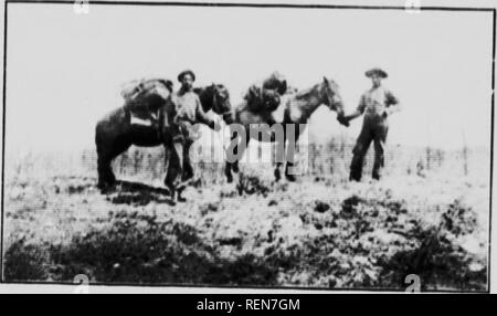 . Rapport sur les conditions de bois autour de Lesser Slave Lake [microform]. Protection des forêts ; les forêts et la foresterie ; ForÃªts ; sylviculture et ForÃªts. S(U ,&gt ;.:4. ;;1'" "Â ¢' ' "â â€¢â ¢ â *-» »»»* .â ¢""- ..r ....â. !,. ; :., ; ; ...."^ ; : : : : ; : ; : Â ¢/^ : : : : ;'.:J : : :^^ ; r : : : ; ; : : ; : ;'â ¢ 'Vt:r""'- ^'r' '- ;"'â" - "â¢â ¢"â â¢r ^ r. 1' ; : : : : :^^ ! ; ; : : : ;,r ; ; : : ::i ; â ¢""'"' " 'â â ¢' 'â â ¢ 'Â"" ""Â -Â ¢. &Lt ;""L â ¢'"Â¢â l.v ..n.l M.H ,....k ,1.. ,.ÂMl. ,. . J'lâ| I...M, , tlââr..,| wâl,,,,,,, â..k. .,(Â Banque D'Images