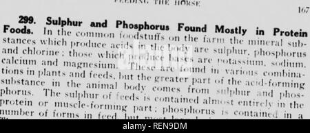 . Des études dans l'élevage des chevaux [microforme] : un traité sur la science et la pratique de l'élevage de chevaux. Chevaux ; les chevaux, chevaux, chevaux. KI.KDINf iinioic. Il sera son Tl |â.,.(.n tl.at'anv'ti' ;',7'r','i'^'"'- '" ''" je""""'- ^''-â ¢ formation,,t :, i- â ." "' â ¢^^''â ¢. "J'ap-tcm va ca,j&gt ;,. l'â¢n&gt;r nc,.,n,,,a,u,m &gt ; ,1. m ' '» ^^^'"' â¢i''"t La^ iMnn- 302.-. La Précaution"e d'Os SmaJI.*.tlK t le l.ala^^^r Zr-^^-,"' ''-" J'asc-pour.nin.r ,1..,, , ;../'"^" ''''"nninjr pr.la démarche prospective ainsi que celle. Tl,i Banque D'Images