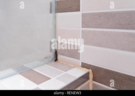 La moisissure noire sur la tuile dans une cabine de douche. Le manque de ventilation, l'humidité, la condensation champignon cause sur les murs, Close up. La moisissure dans salle de bains sale non hygiéniques Banque D'Images