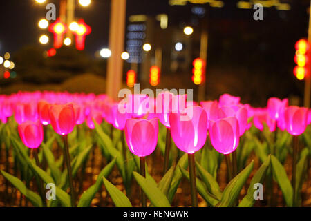 Rongcheng, Chine. 21 Jan, 2019. Des milliers de lampes en forme de tulipe peut être vu dans la Chine orientale Rongcheng La province de Shandong. Credit : Asie/Pacifique Sipa Press/Alamy Live News Banque D'Images