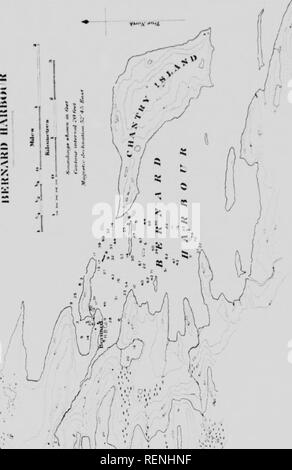 . Les crustacés. Partie N [microforme] : le crustacé vie de certaines lagunes de l'Arctique, les lacs et étangs. Expédition arctique canadienne (1913-1918) ; Expédition arctique canadienne (1913-1918) ; CrustacÃ©s ; crustacés. La vie Cruataaan s 29 PlÂ"TK VI.. Iletntri h-iri-oir. UolpUin .n.l Uni.Ki -tr.at. Tarntorio Northwe-t-, enquête, hy 000 Chipniun G. unJ J. H. Cox. Soumliniss par r . Joriam-en. Â L'IWT^mms :- :. ^m^^^^m'"^^-.. Veuillez noter que ces images sont extraites de la page numérisée des images qui peuvent avoir été retouchées numériquement pour plus de lisibilité - coloration et l'aspect de ces illustrations ne peut pas parfaitement ressembler à Banque D'Images