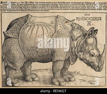 Le Rhinocéros. En date du : 1515. Fiche technique Dimensions : (boîte à image) : 23,5 x 29,8 cm (9 1/4 x 11 3/4 in.). Technique : gravure sur bois. Musée : National Gallery of Art, Washington DC. Auteur : Dürer, Albrecht. ALBRECHT DÜRER. Banque D'Images