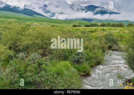 Moutainscape, province de Naryn, Kirghizistan Banque D'Images