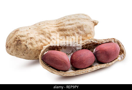 Peanut isolé sur fond blanc. Clipping path Banque D'Images